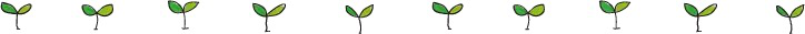 图片12.png